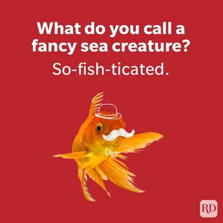 15 Hilarious Laffy Taffy Jokes That Will Have You Rolling