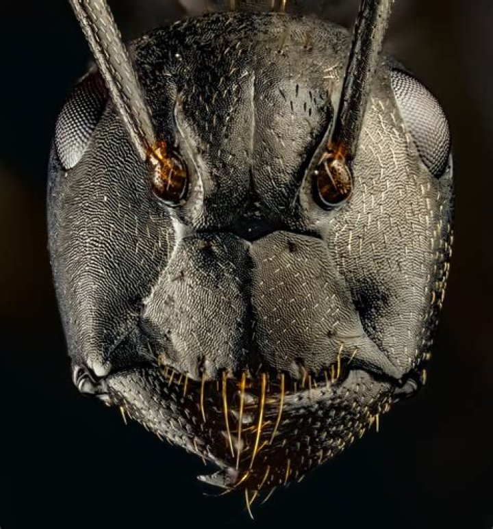 A Close-Up Look At His Success