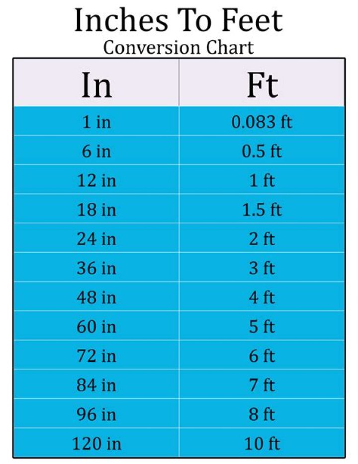 A Definitive Guide To Inches And Feet