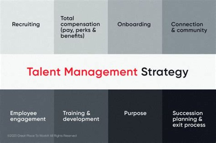 A Journey Of Talent And Strategy