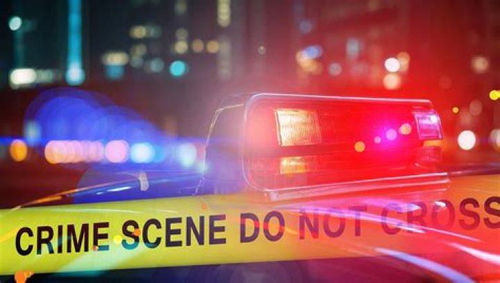 A Master Of Crime And Intrigue