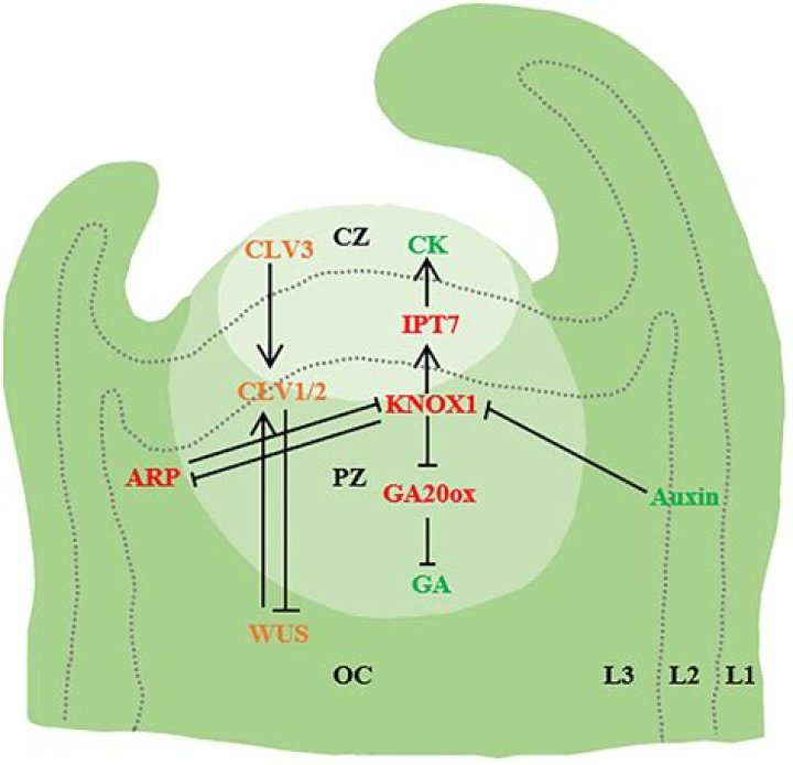 An In-Depth Look At His Love Life