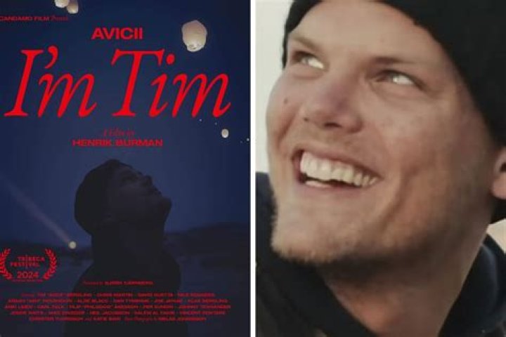 Avicii's Final Days And The Circumstances Of His Death