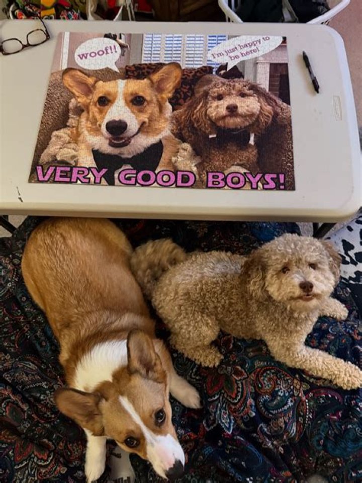 BlogPaper | Andie Case - Bio, Age, Single, Nationality, Body Measurement, Career