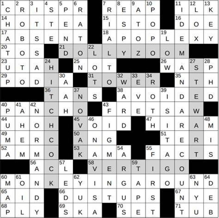 Boating noun and verb NYT Crossword Clue Answer