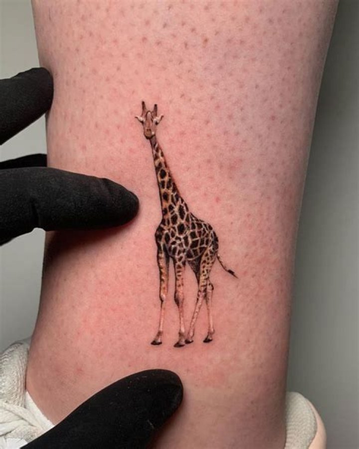 Browse Our Collection Of Simple Animal Tattoos Today