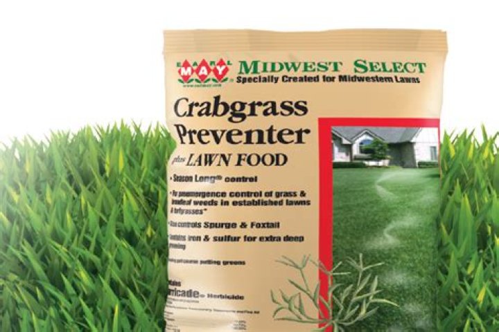 Can I apply crabgrass preventer too early?