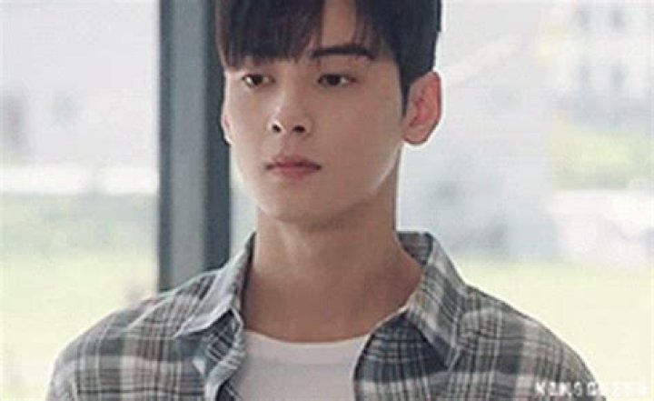 Cha Eun Woo's Charm And Accomplishments