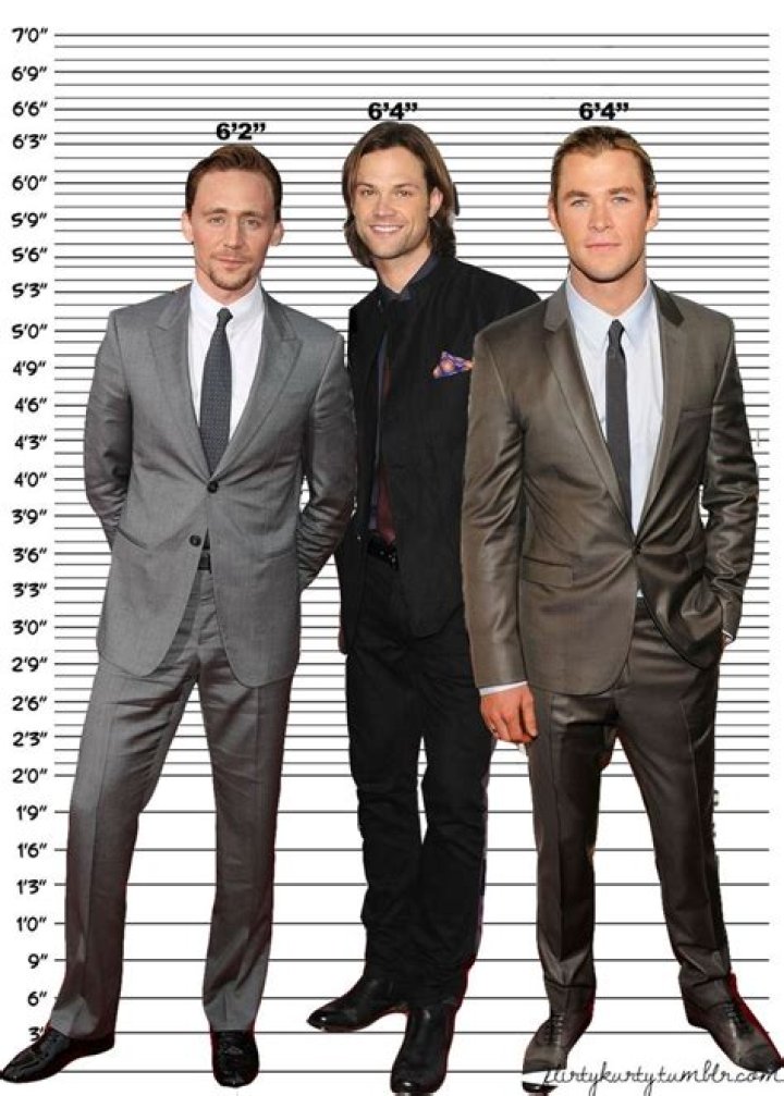 The Height Of Chris Hemsworth