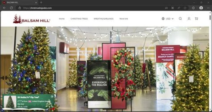 Extra Big Christmas Savings - Get Your Deals Now