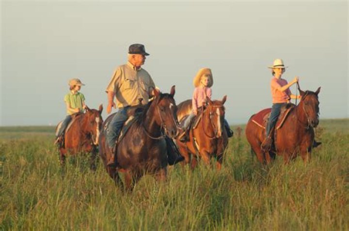 Chuck Drummond's Fortune Unveiled: Unraveling The Culinary Empire