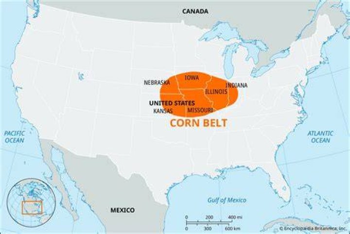 Corn Belt state: Abbr NYT Crossword Clue - News