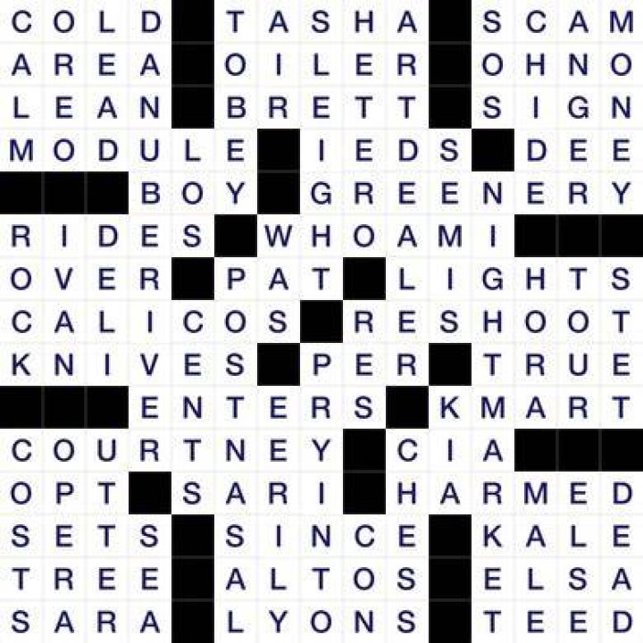 Daily Commuter Crossword Answers for January 17 2024