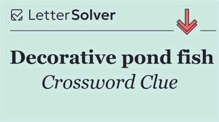 Decorative pond fish NYT Crossword Clue