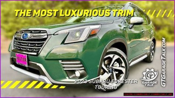 Discovering The Enigma Of Xxbirts Sophi Rain