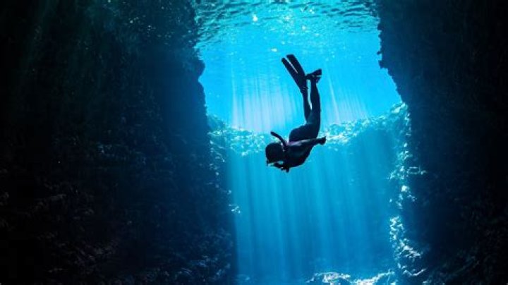 Dive Into The World Of Erin Neufer