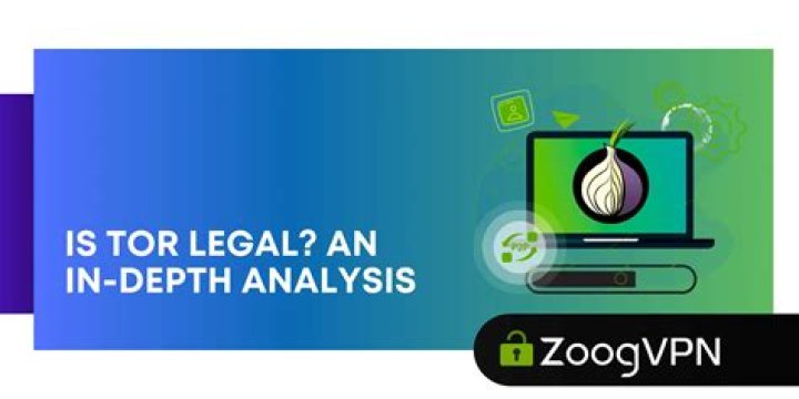 Exclusive Updates And In-Depth Analysis