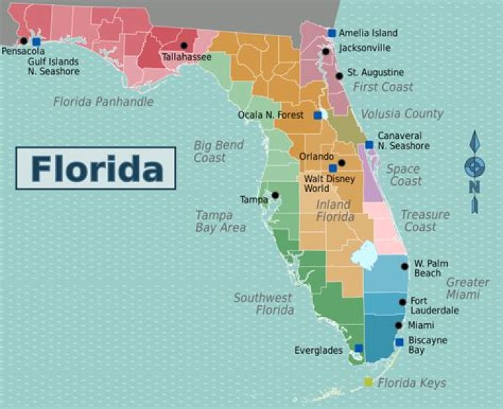 Exploring Democratic Cities In Florida