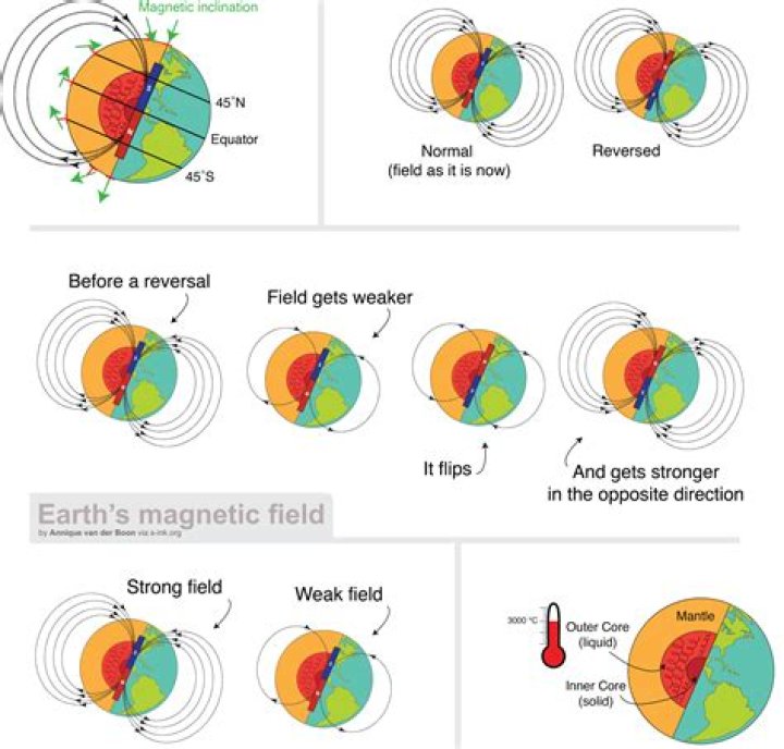 Exploring The Earth's Magnetic Radiation Shields