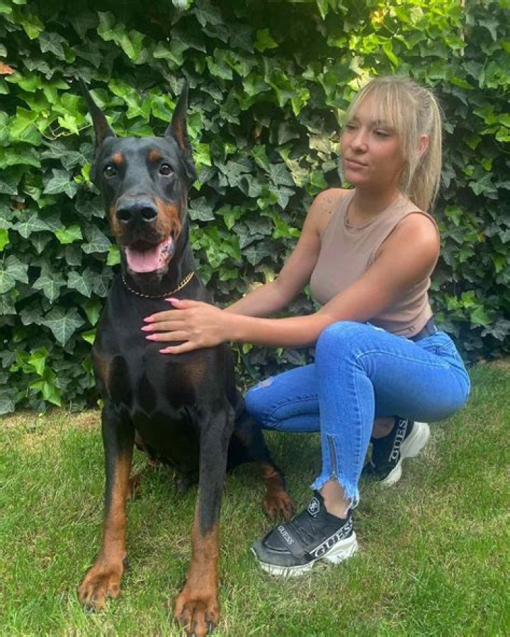 Essential Guide To Faranzano Chairs And Sofas: Comfort And Style