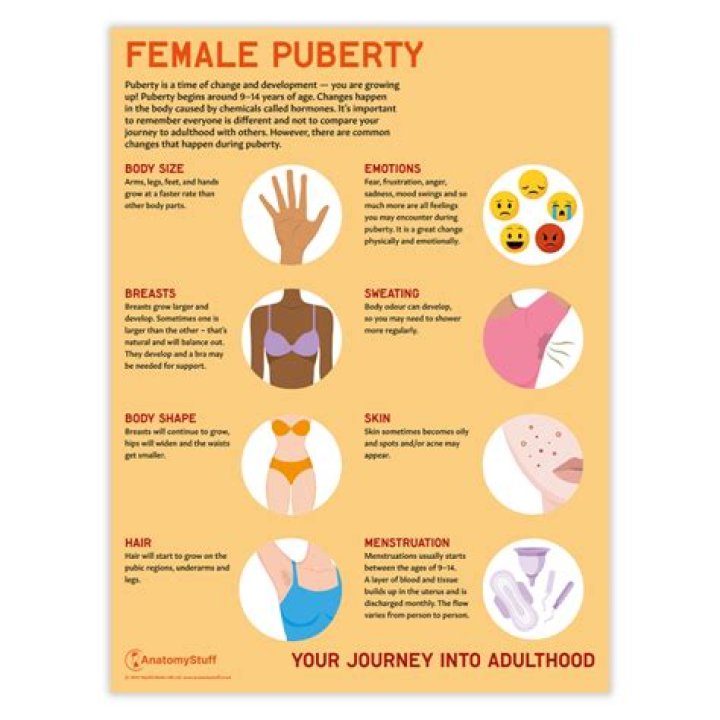 A Comprehensive Guide To Female Puberty: Visualizing The Physical Changes