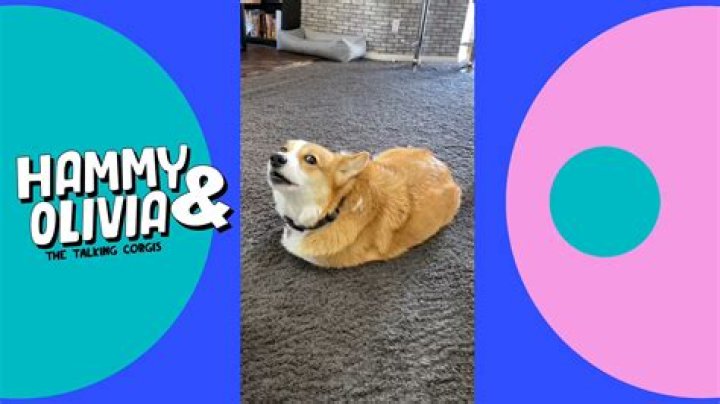 Hammy And Olivia's Tragic Deaths