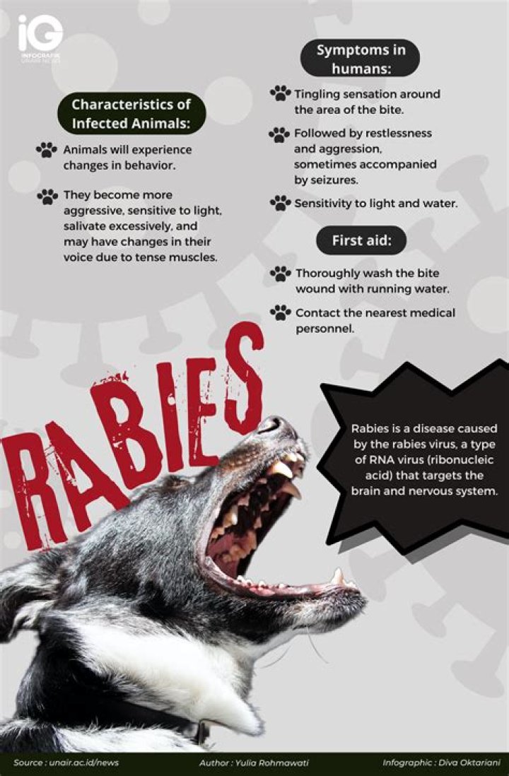 Has anyone survived rabies after symptoms?