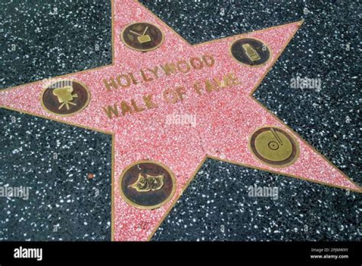 Hollywood Star On The Rise