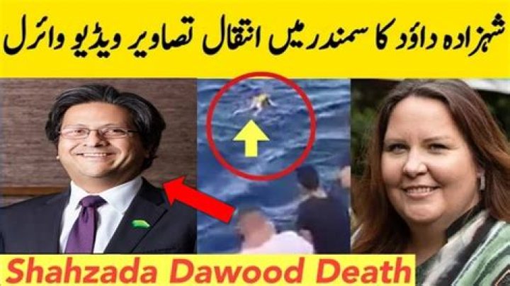 How Much Is Shahzada Dawood Worth? ·