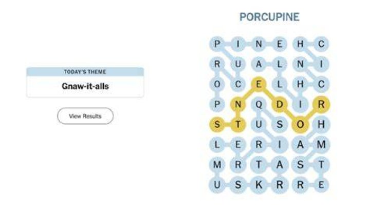 Informal goodbyes NYT Crossword Clue