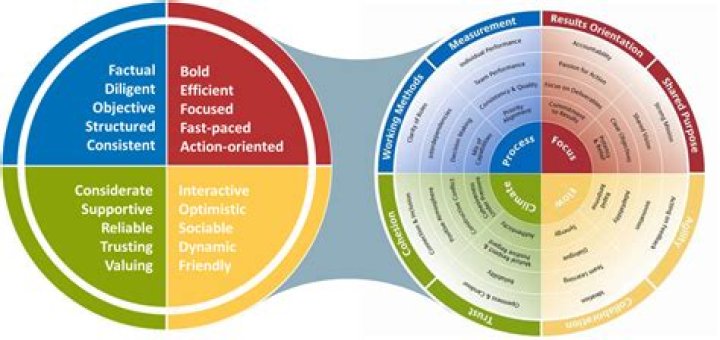 Insights And Tips For The "Busi" Niche