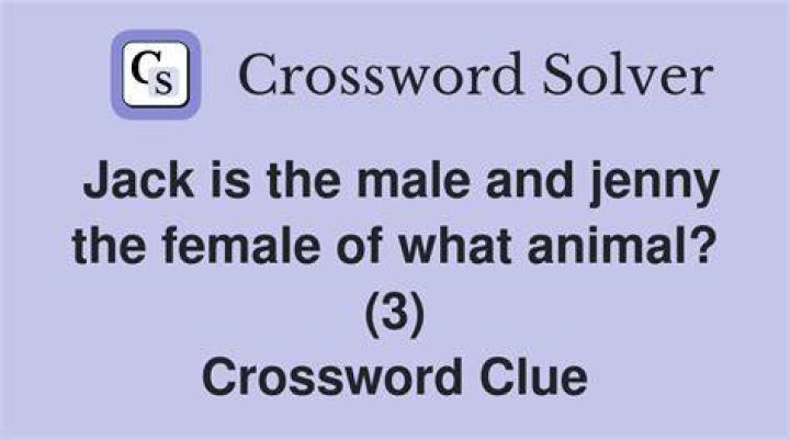 Jack or jenny Wall Street Crossword Clue