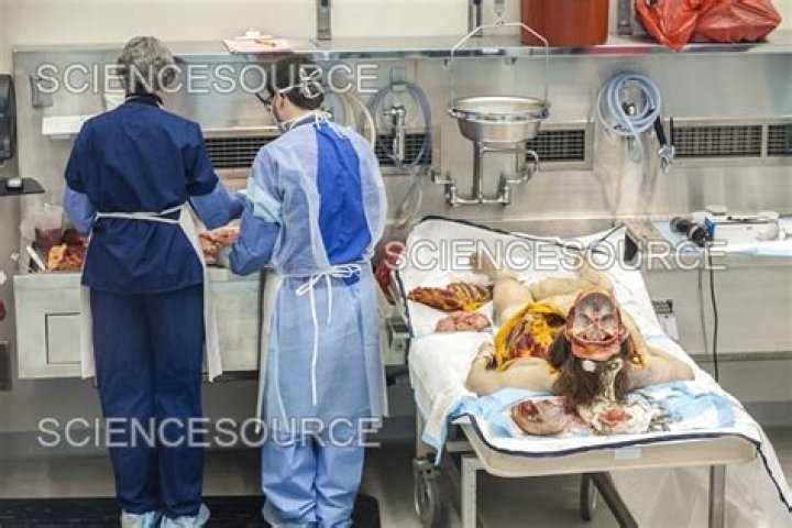 Jose Paz Obituary Fatal Solo Crash Dissection