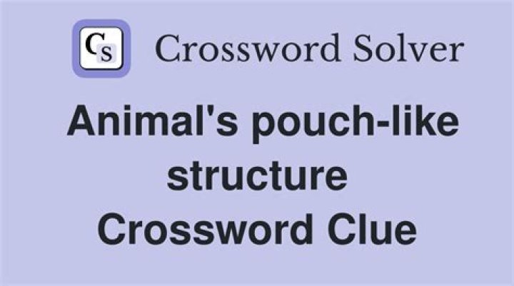 Kangaroo&rsquo;s pouch, e.g. Crossword Clue Daily Themed 3 letters Answer - News