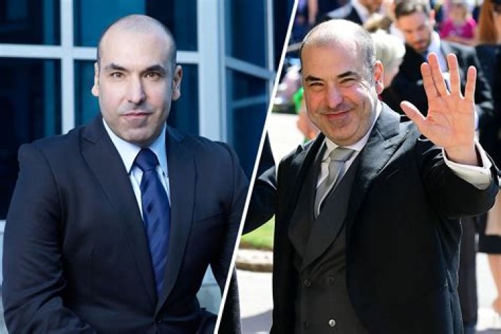 The Mysterious Marriage Of Louis Litt In Real Life