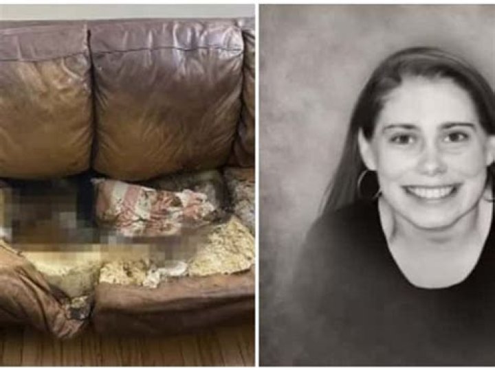 Marvelous Lacey Fletcher Photo Collection: Capture Her Beauty