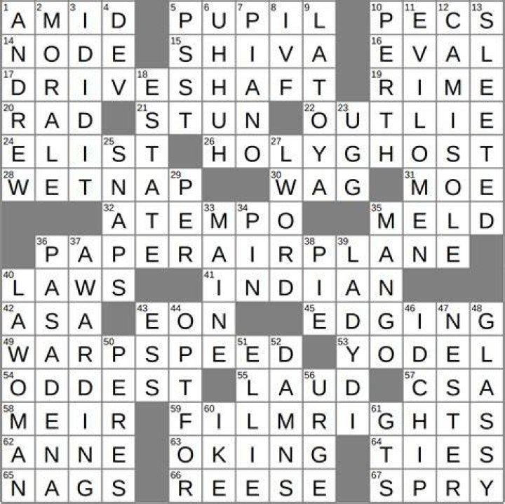 Massage therapist's target perhaps Daily Themed Crossword Clue