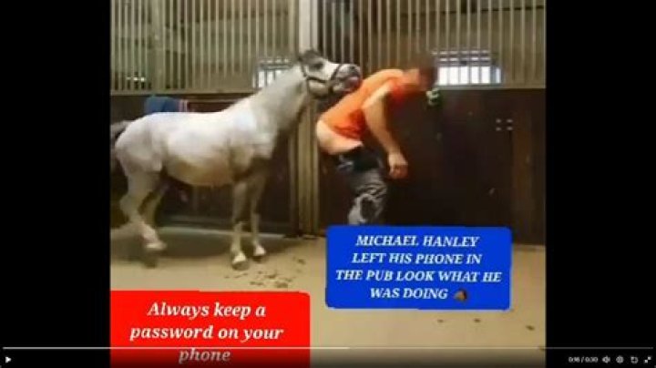 Inside The "Michael Hanley Horse Video"