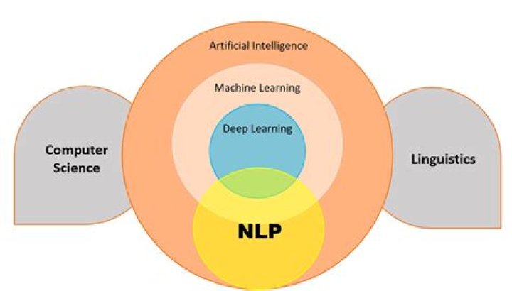 Michelle Peterbauer - Top-Notch NLP And AI Scientist