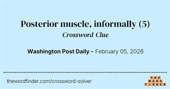 Muscle used in a squat, informally Crossword Clue LA Times