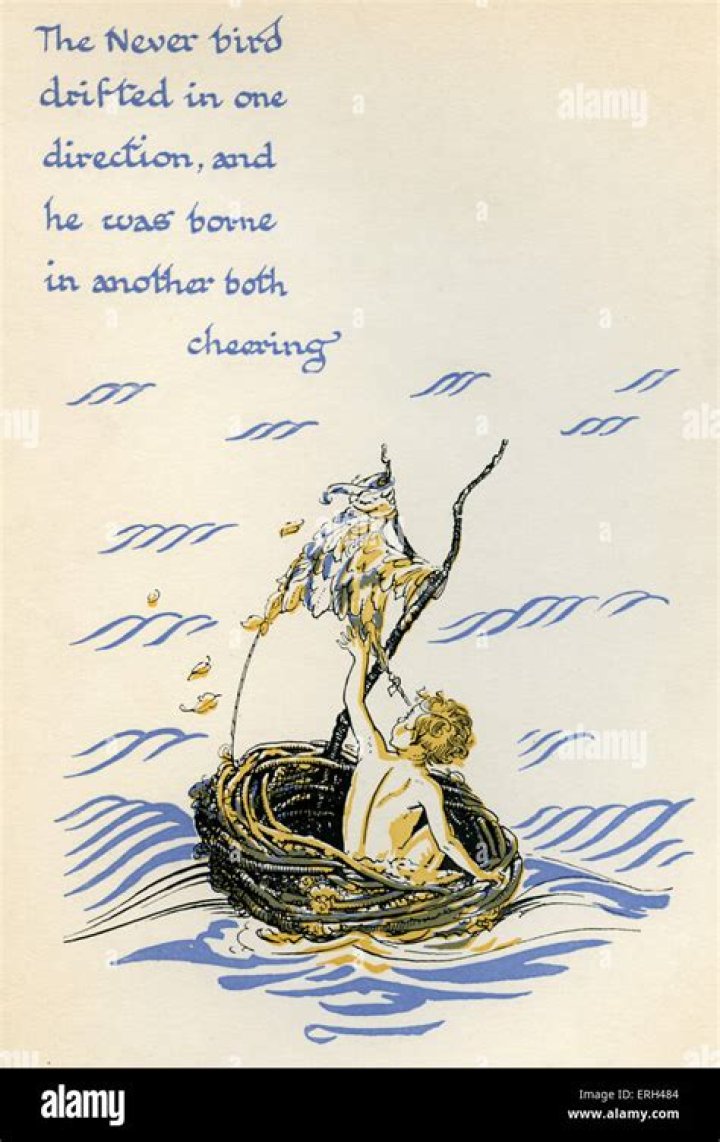 The Ultimate Guide To The Elusive "Never Bird": Unraveling The Mystery