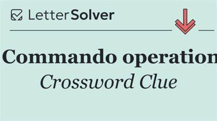 Newsday Police operation Crossword Puzzle Clue Answers