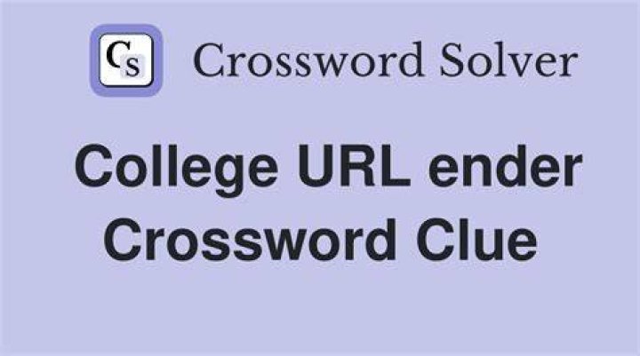 Non-profit URL ender Crossword Clue Daily Themed Crossword