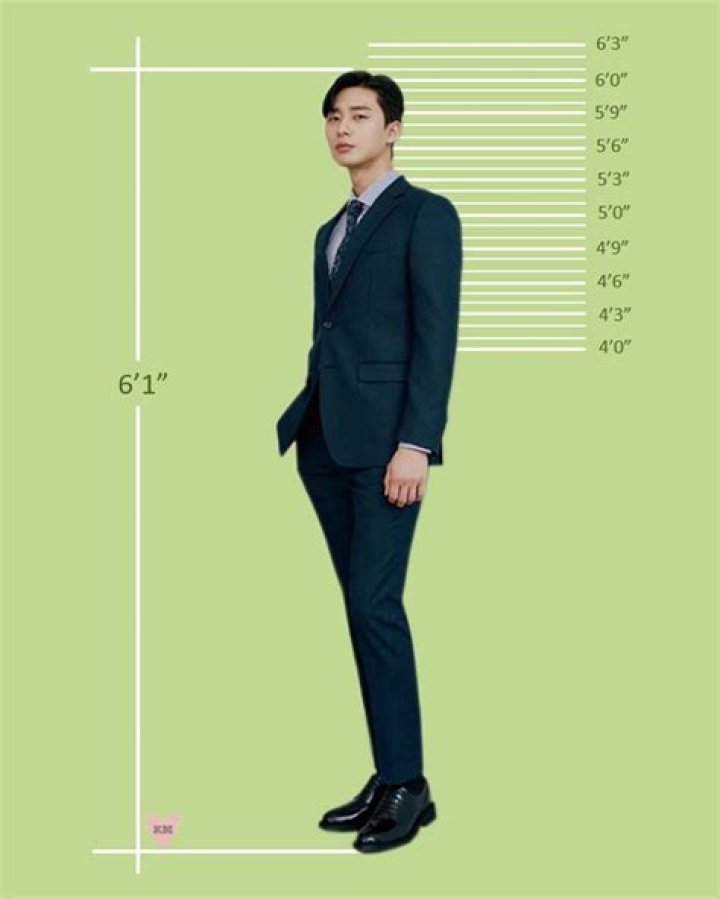 Uncovering The Secrets Of Park Seo Joon's Towering Height