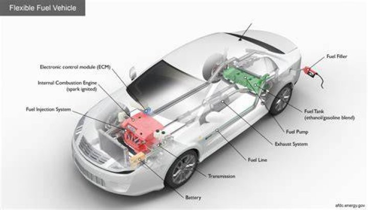 Put fuel in an automobile tank: 2 wds.