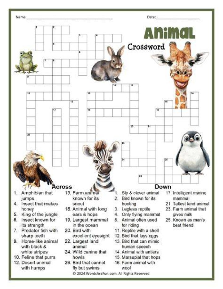 Puzzle Page Fermented animal feed Crossword Clue