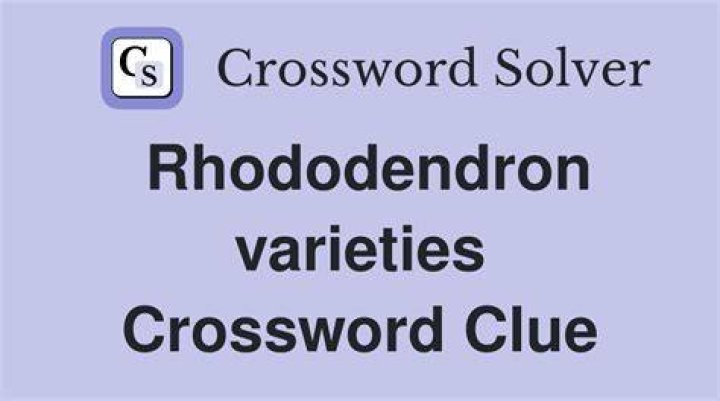 Rhododendron variety Crossword Clue LA Times Answer - News