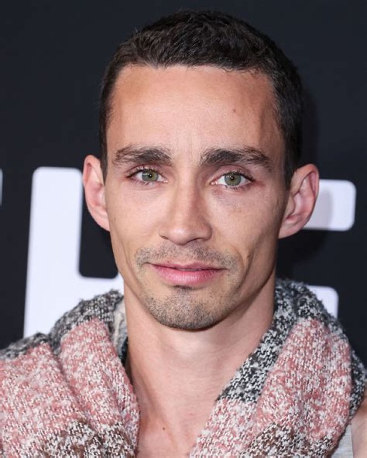 Robert Sheehan In 2024: A Promising Cinematic Year