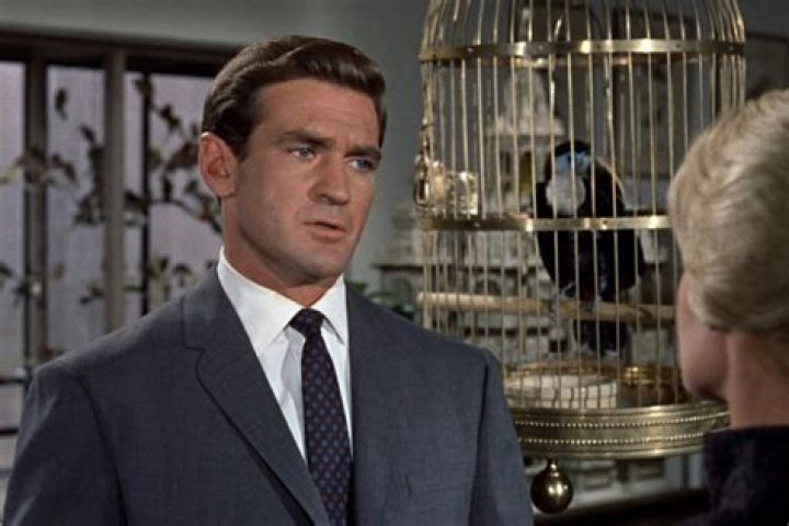 Rod Taylor, Actor Known For 'The Birds' And 'The Time Machine,' Passes Away At 84