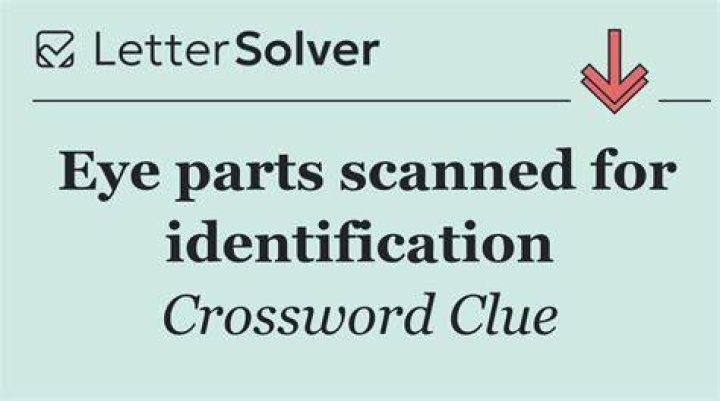 Scanned ID at a supermarket Universal Crossword Clue